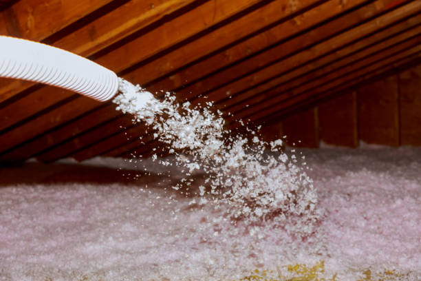 Insulation Contractors for Homes in Newaygo, MI