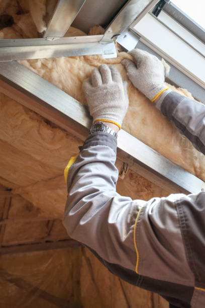 Best Insulation Contractors for Homes  in Newaygo, MI