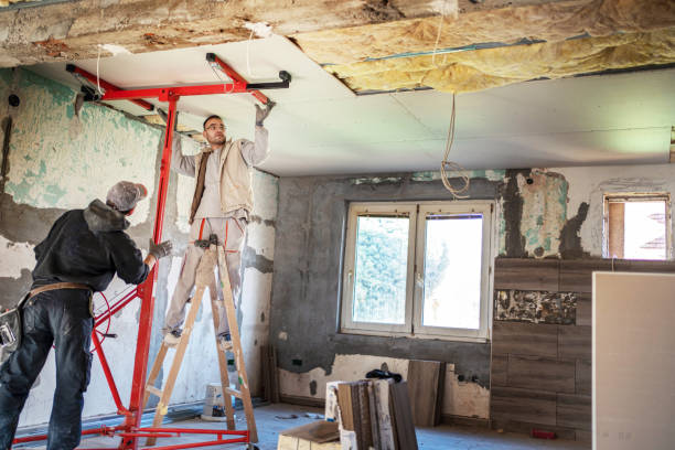 Best Commercial Insulation Contractor  in Newaygo, MI