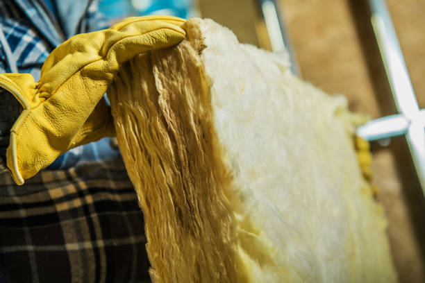 Best Spray Foam Insulation  in Newaygo, MI