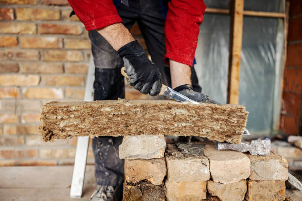Best Energy-efficient Insulation  in Newaygo, MI