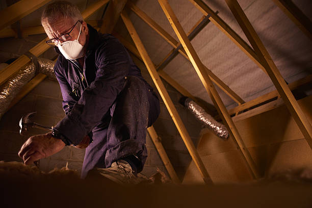 Best Energy-efficient Insulation  in Newaygo, MI