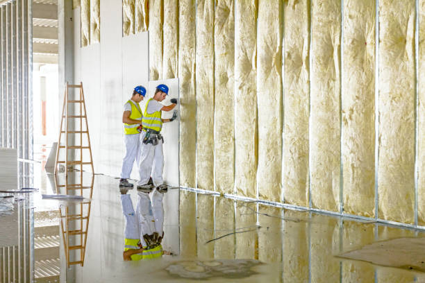 Best Blown-in Insulation  in Newaygo, MI